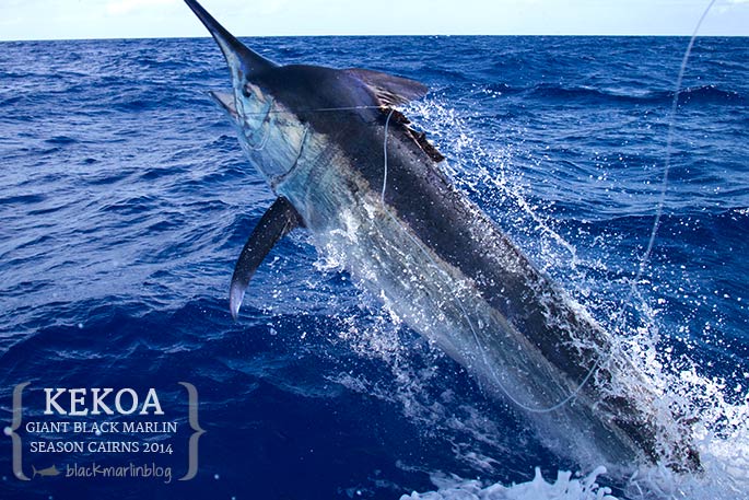 kekoa