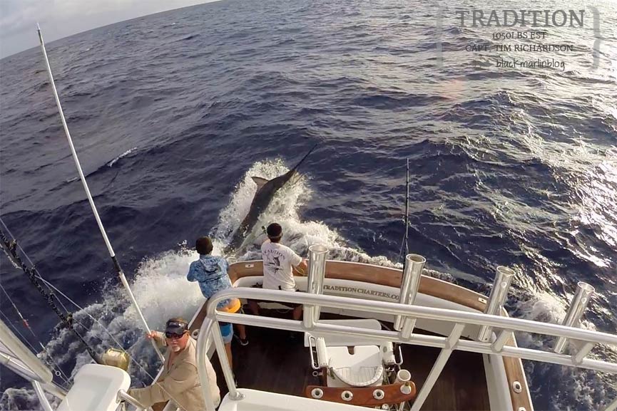 big-fish-top-continues