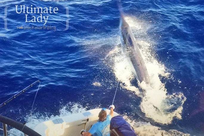 2014 Cairns Marlin Season Recap