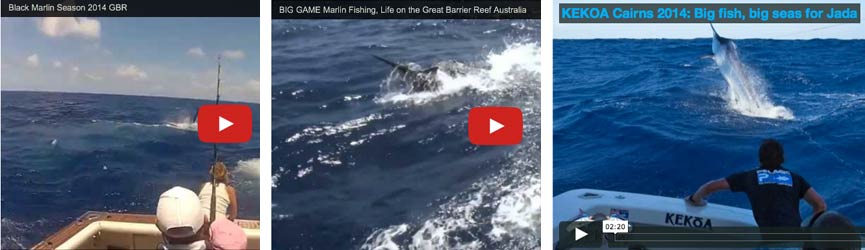 good-fishing-pre-tournaments-and-more-cairns-season-video