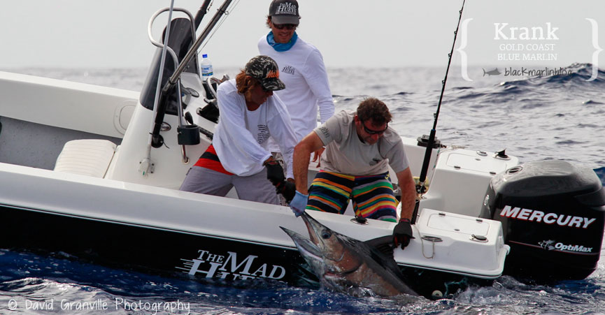 gold-coast-the-blue-marlin-strip