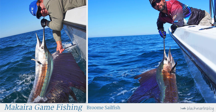 broome-sails-coffs-coast-blues