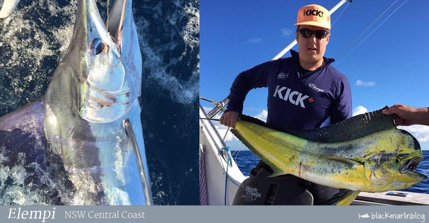 long-weekend-marlin-reports-east-coast