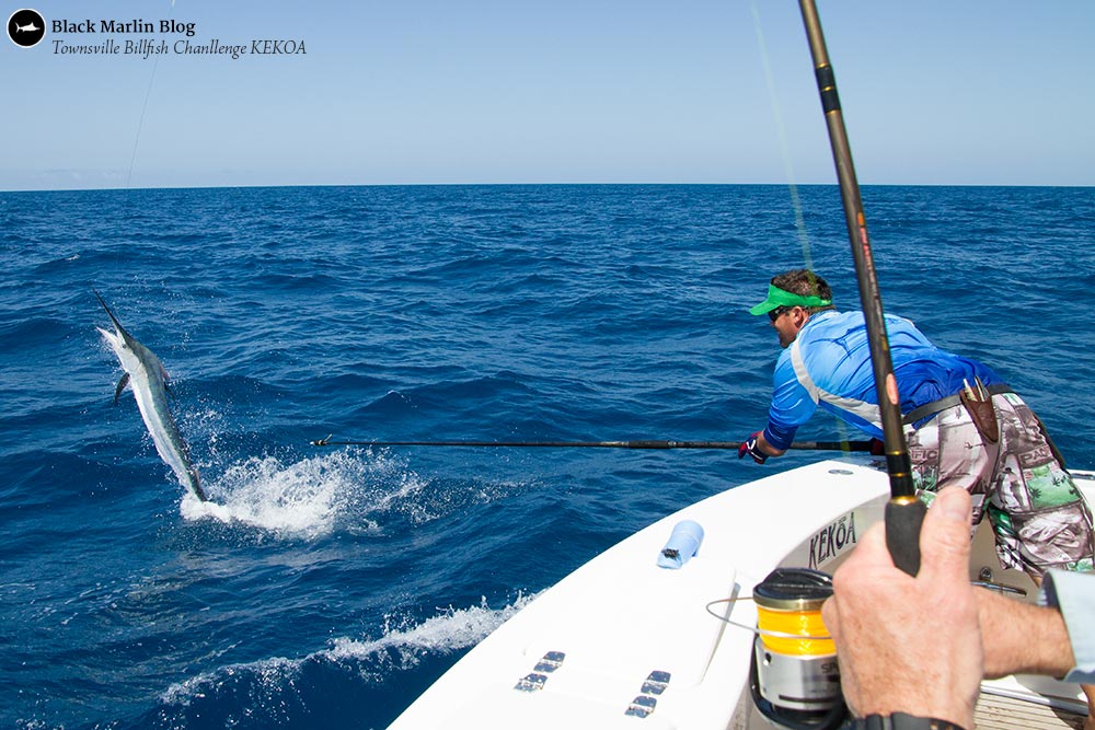 townsville-billfish-challenge-day-2-yorkeys-knob-ltsaibt-day-1-and-a-bit-from-the-west