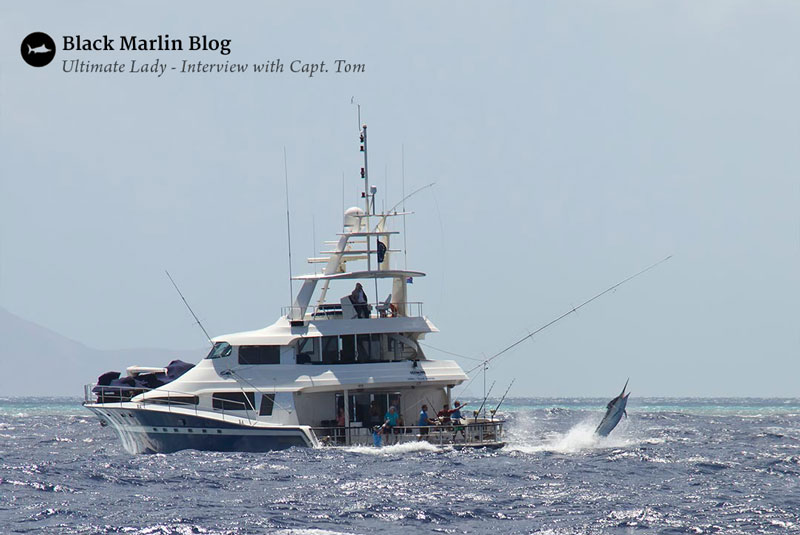 cairns-big-marlin-season-2015-kick-off