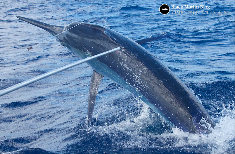 2015-lizard-island-black-marlin-classic-day-4