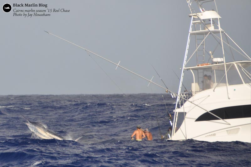 photos-from-the-reef