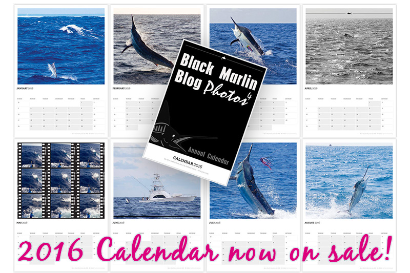 catch-up-photo-and-video-and-2016-bmb-calendars