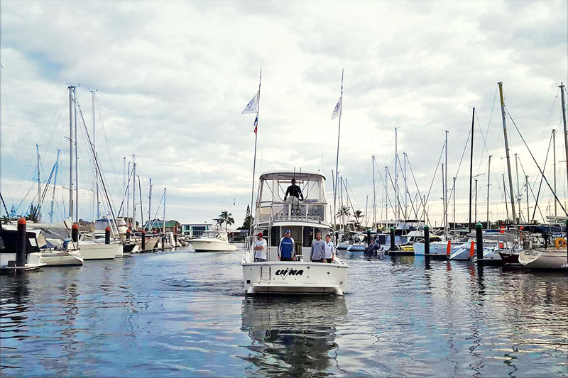 mooloolaba-billfish-bonanza