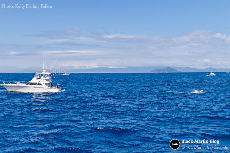 cairns-bluewater-day-2