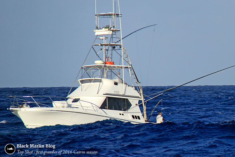 first-grander-2016-cairns-marlin-season