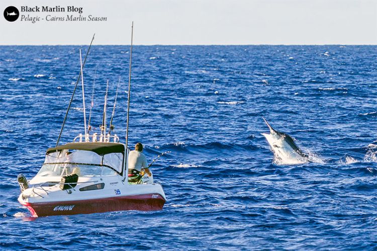 pelagic