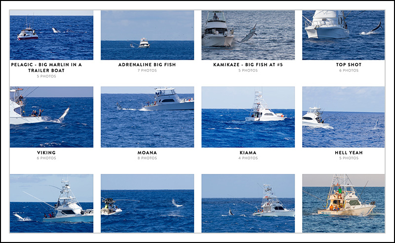 cairns-marlin-boat-boat-shots