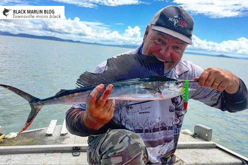 micro-marlin-caught-off-townsville-sunny-coast