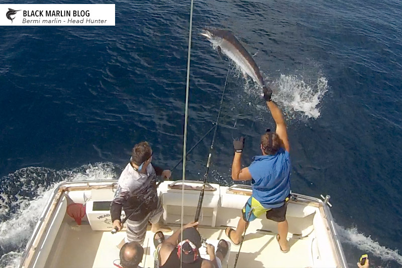 Hot Easter Fishing P2 - Bermi » Black Marlin Blog