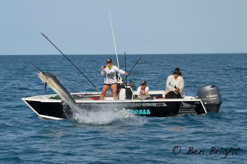 more-from-cairns-weipa-results