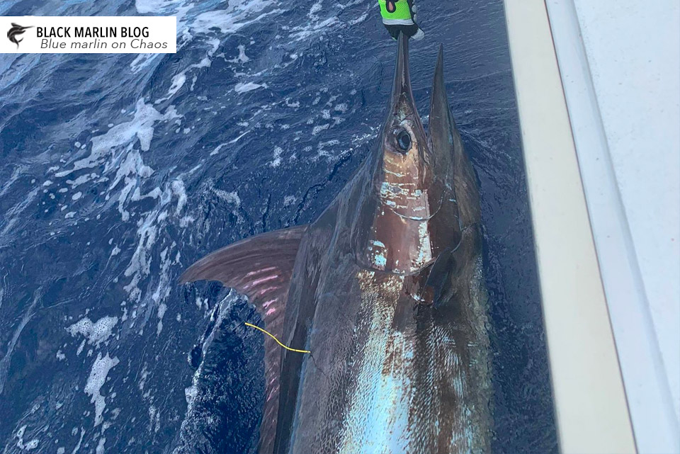 more-hot-fraser-island-fishing