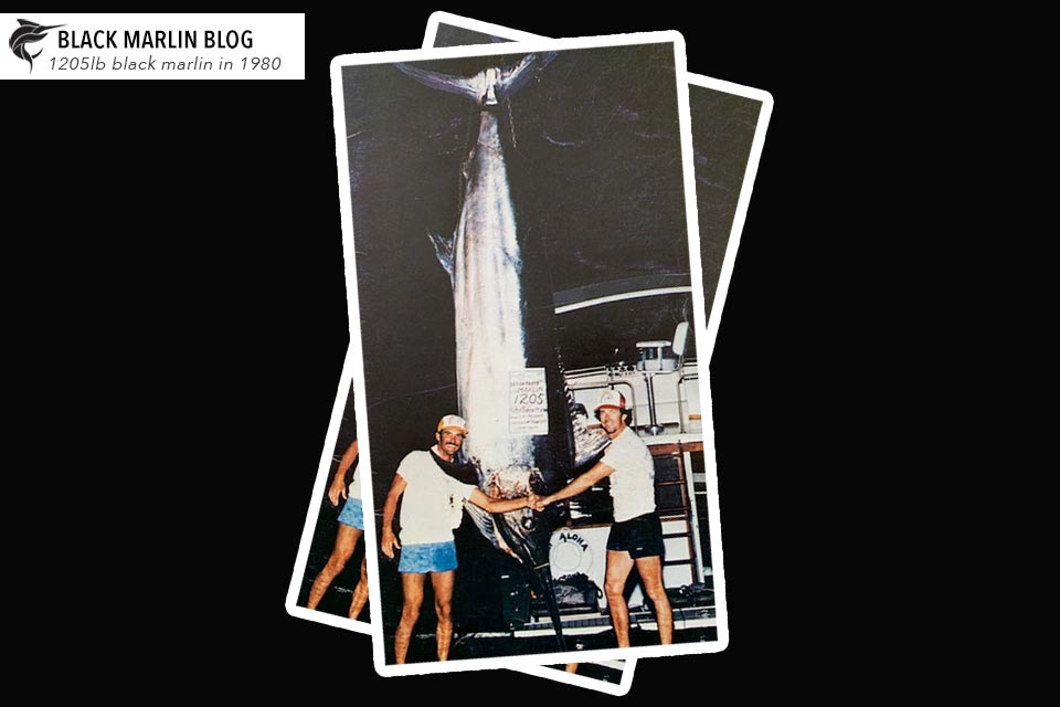 black-marlin-history-question