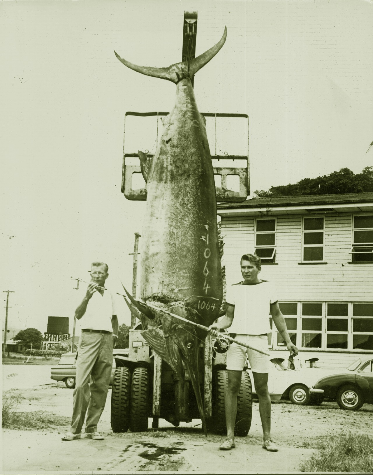 25-september-1966-the-fish-that-started-it-all