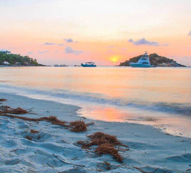 lizardbeach