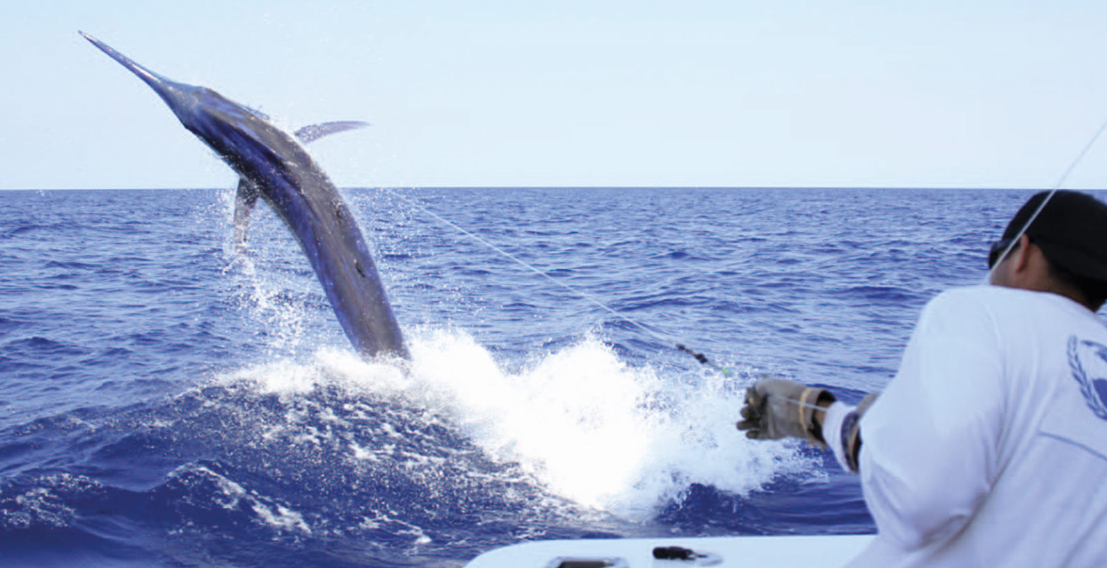 2011-cairns-marlin-season-recap