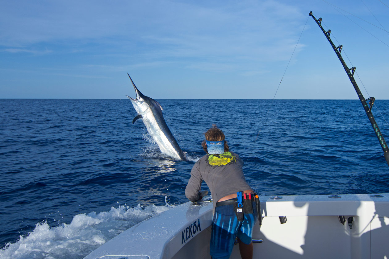 one-giant-week-on-the-great-barrier-reef-oct-2014