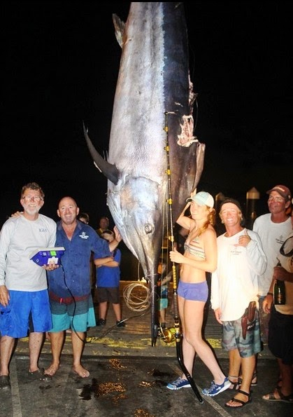 womens-50lb-wr-black-marlin-1111lbs