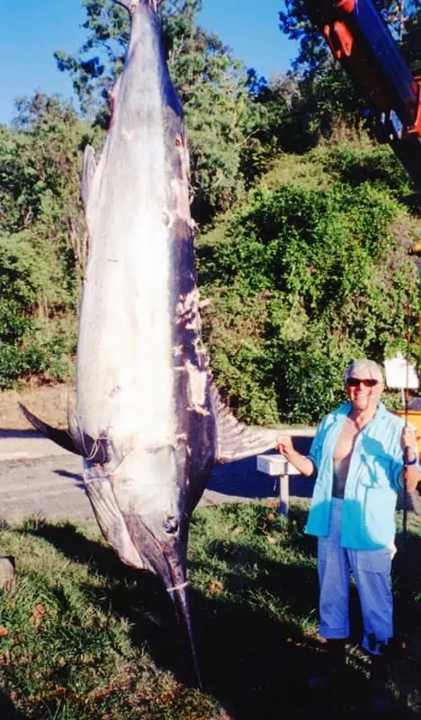 631lbs-on-16lb-line-class-world-record