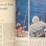 For the Marlin Men of Cairns, four yards of fish is not enough