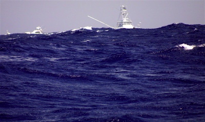 lizard-island-black-marlin-classic-day-5-results